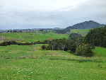 thumbnail Kaiwaka maori land war-410
